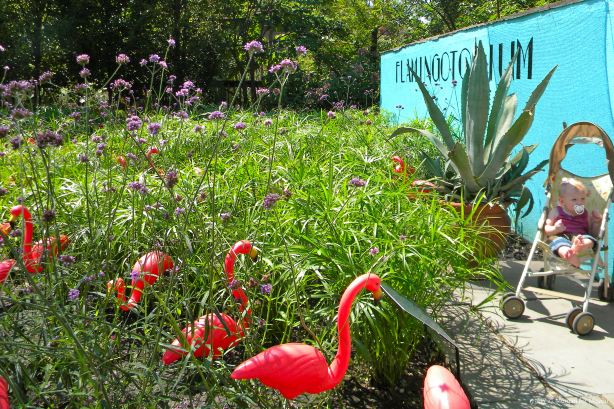 Reiman Gardens