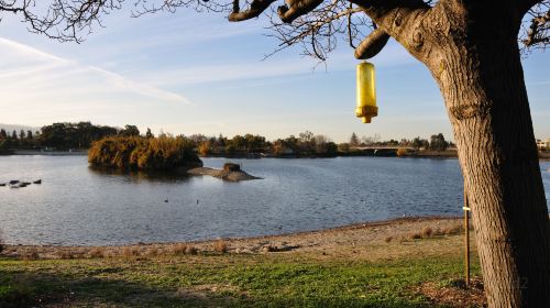 Almaden Lake Park