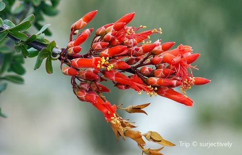 Anza-Borrego Desert State Park Visitor Center