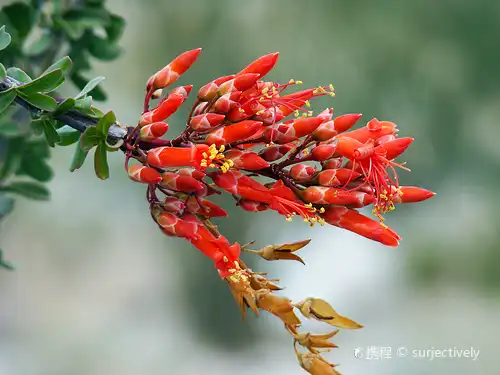 Hotels near Anza-Borrego Desert State Park Visitor Center