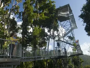 瑪姆雨林天空步道