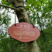 評論圖片 8