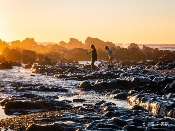 Motukiekie Beach Walk