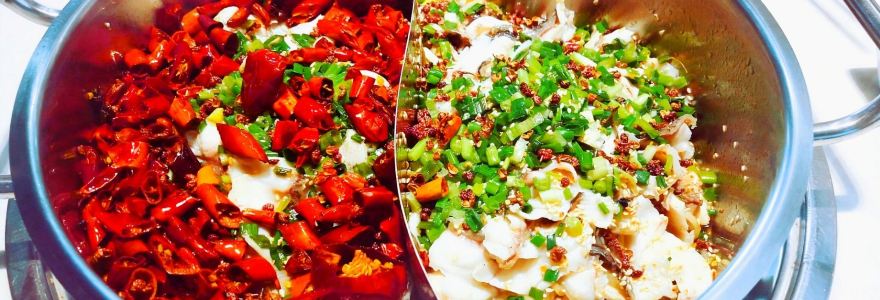 皇中百岁鱼济源旗舰店(沁园路店)