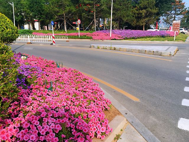오리허공원
