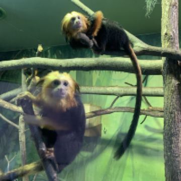 評論圖片 3