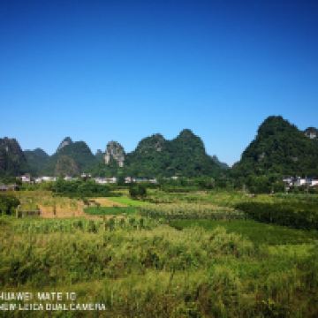 評論圖片 4