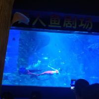 評論圖片 5