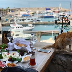 Panorama Restaurant 여행 사진