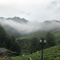 評論圖片 5