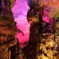 評論圖片 7