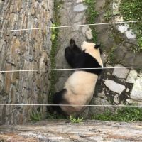 評論圖片 8