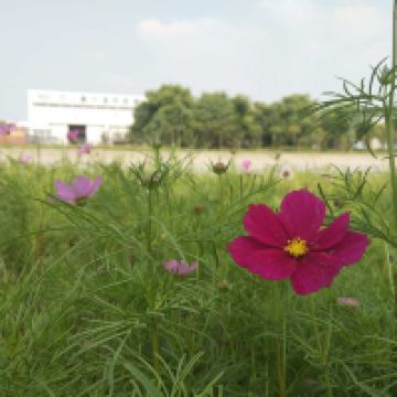 評論圖片 1