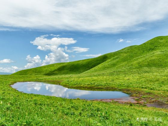 那拉提旅遊風景區