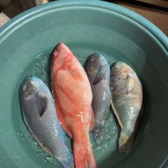 Asian Seafood Boracay by Chefs Wok 888 Restaurant User Photo