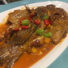 佳兰雅序融合菜(伟峰东樾店) User Photo