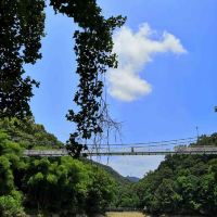 評論圖片 2