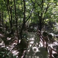 評論圖片 9