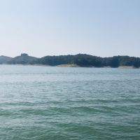 評論圖片 4