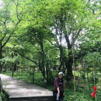 評論圖片 7