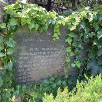 評論圖片 6