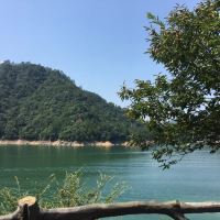 評論圖片 2