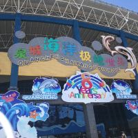 評論圖片 3