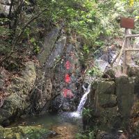 評論圖片 6