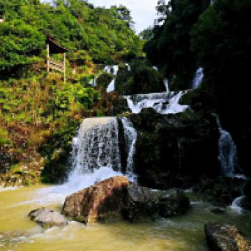 評論圖片 1