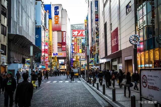 Akihabara Travel Guide: A Place Worth Exploring