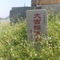評論圖片 7