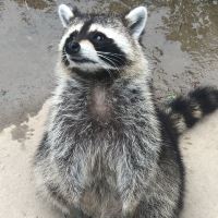 評論圖片 9