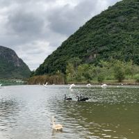 評論圖片 5