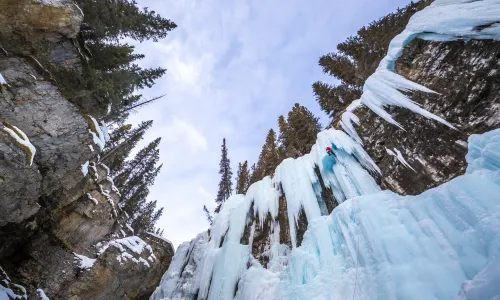 Johnston Canyon