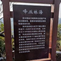 評論圖片 5