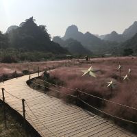 評論圖片 5