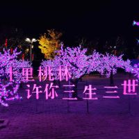 評論圖片 4