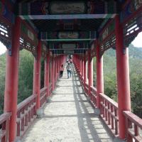評論圖片 4