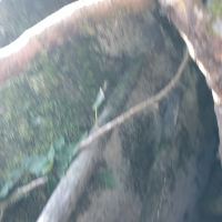 評論圖片 1