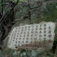 評論圖片 6