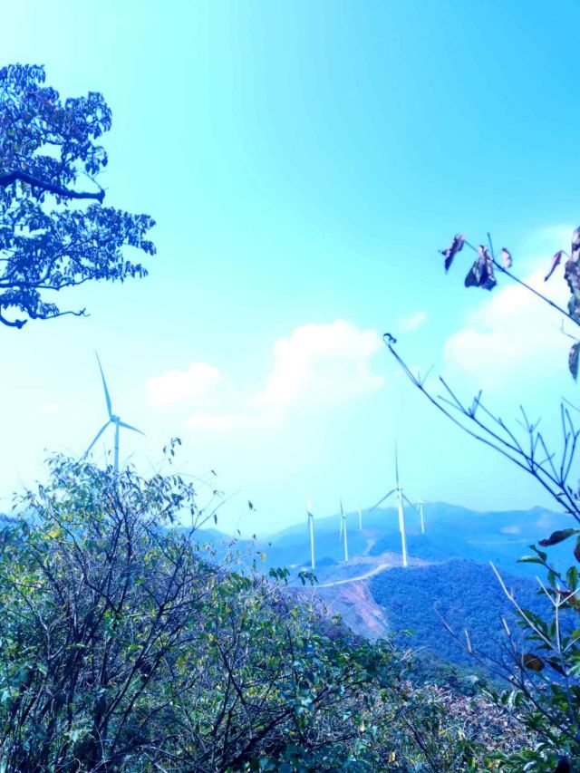 Daxiong Mountain National Forest Park