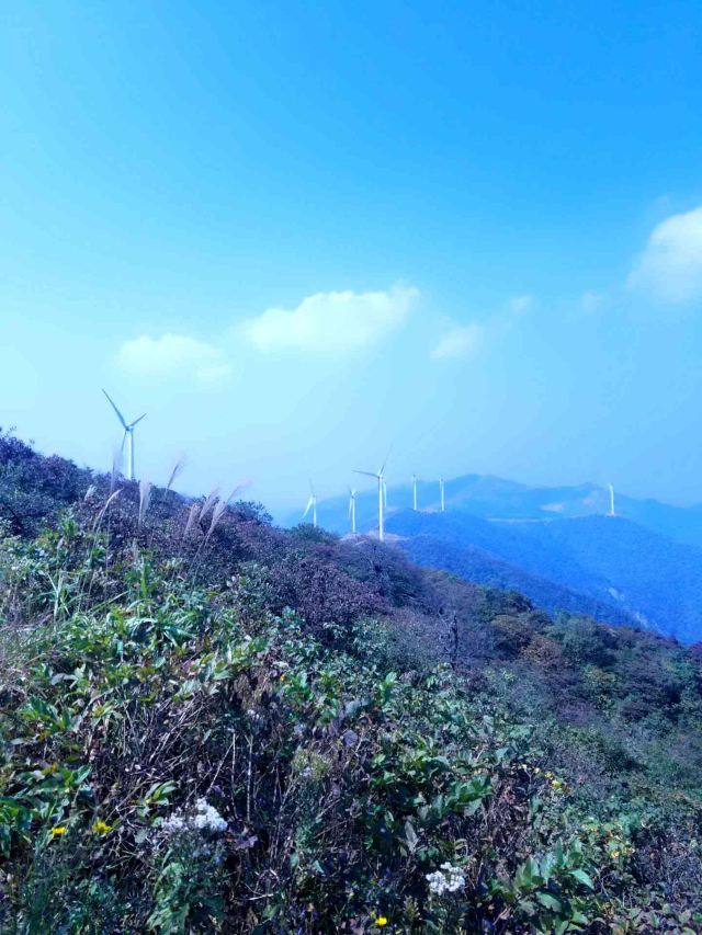 Daxiong Mountain National Forest Park
