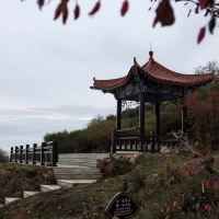 評論圖片 9