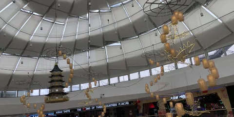 濕地公園