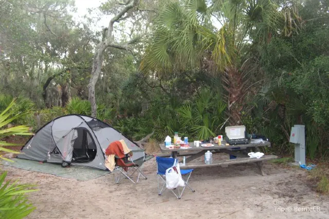 Nature Gem in Sarasota: Guide to Myakka River State Park