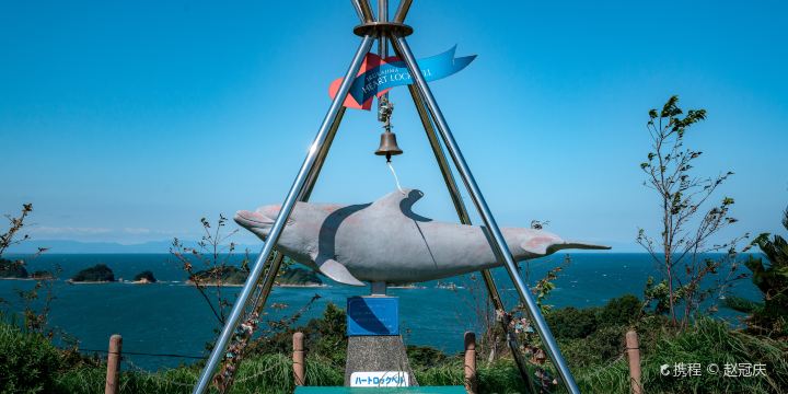 Dolphin Island