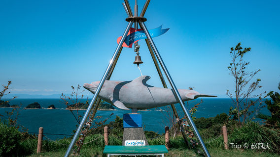Dolphin Island