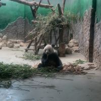 評論圖片 1