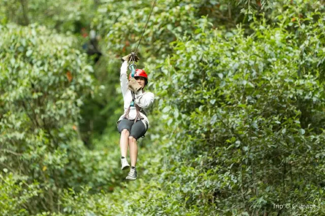 26 Amazing Things to Do in Phuket