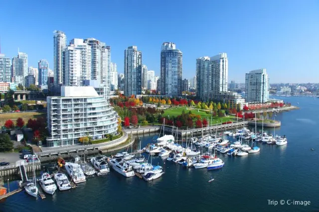 12 Best Things to do in Vancouver Downtown